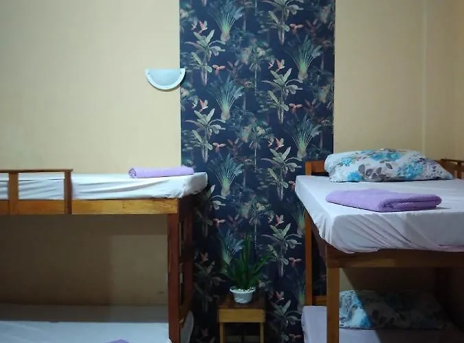 House Banaba Tree *