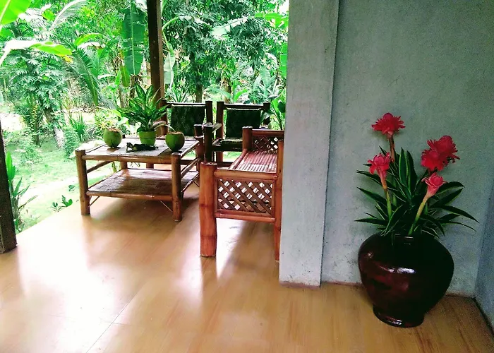 House Banaba Tree